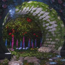 Natures Return