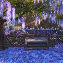 Lavender Tea for Two